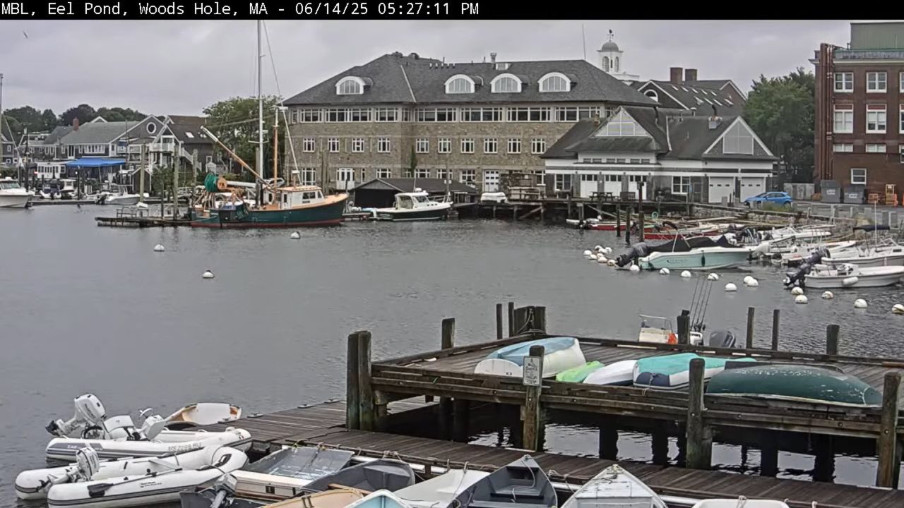 Eel Pond in Woods Hole Live Webcam – Falmouth, Massachusetts