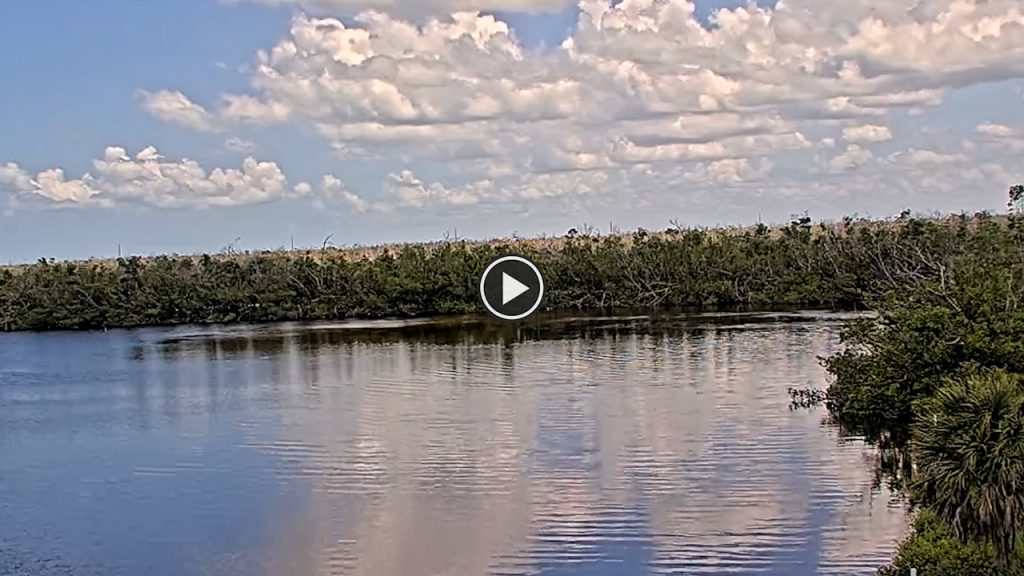 Jn Ding Darling National Wildlife Refuge Cam - Florida