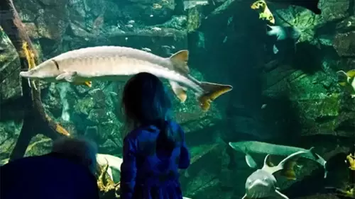 ECHO Leahy Center for Lake Champlain