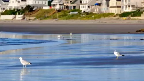Rye Beach Live Weather Cam in New Hampshire
