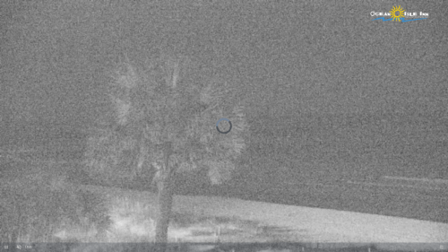 Ocean Isle Inn Beach NC Webcam