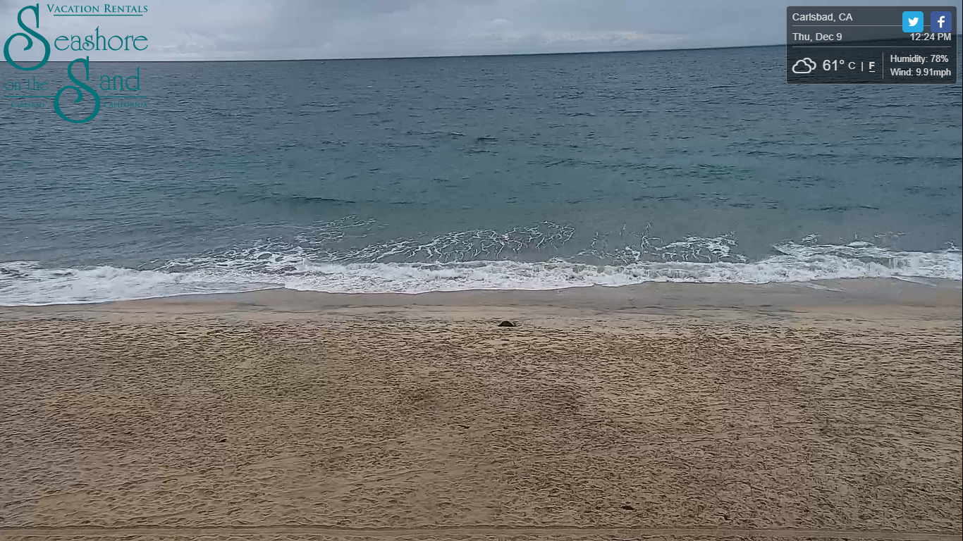 Seashore On The Sand Beach Live Cam