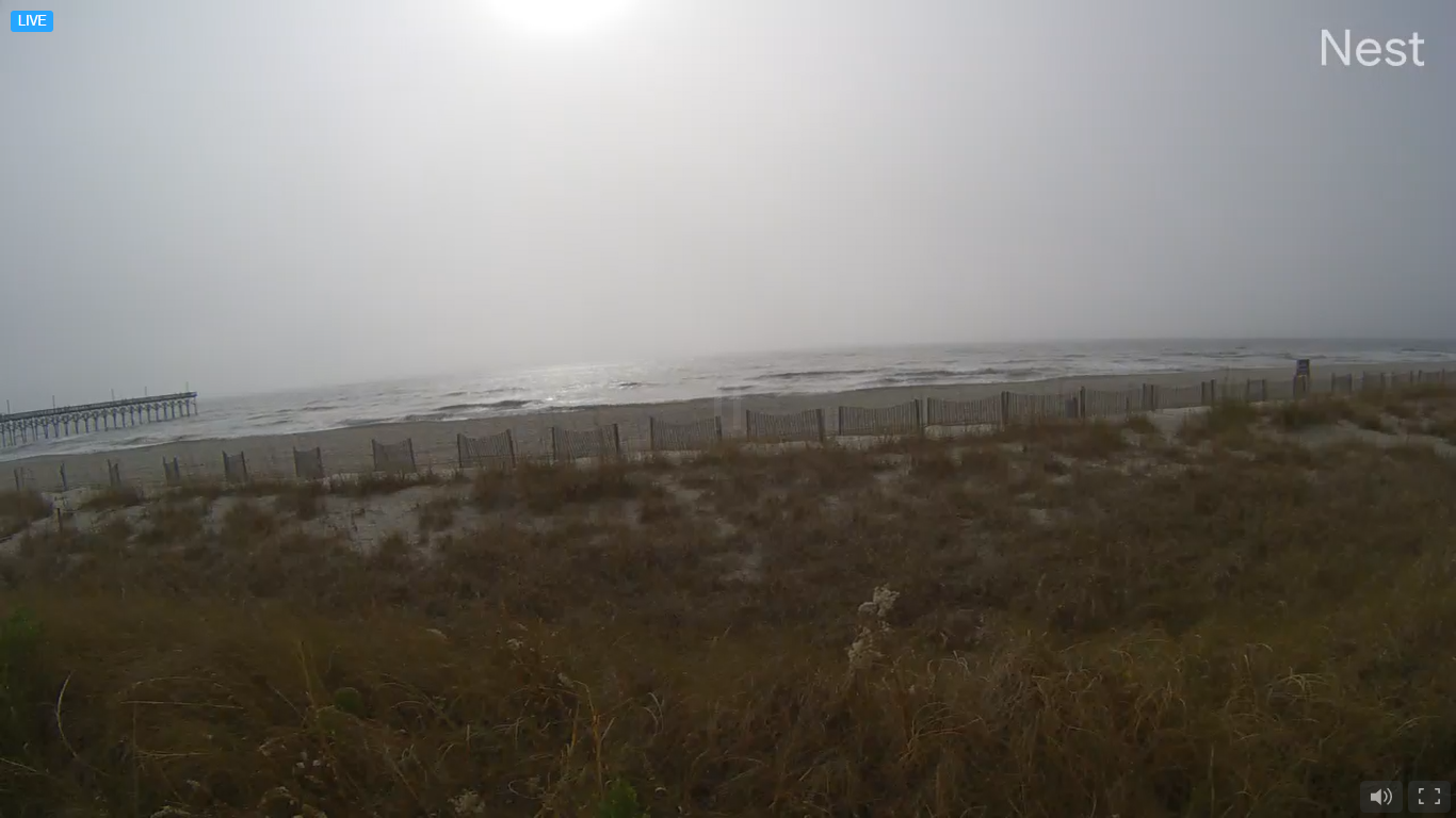 Alan Holden Webcam HD Video – North Carolina, USA