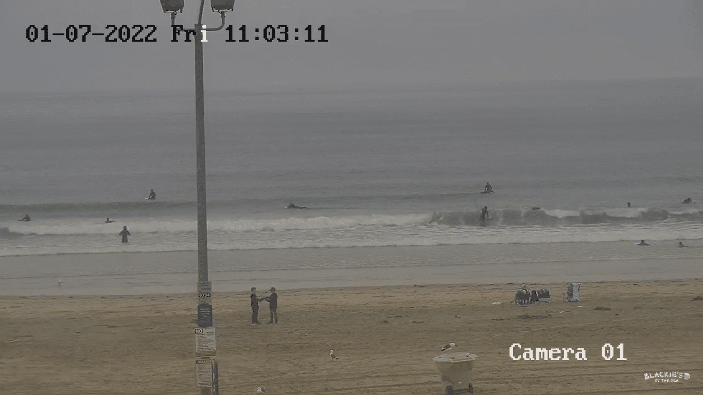 Live Webcam Hyatt Regency – Newport Beach, California