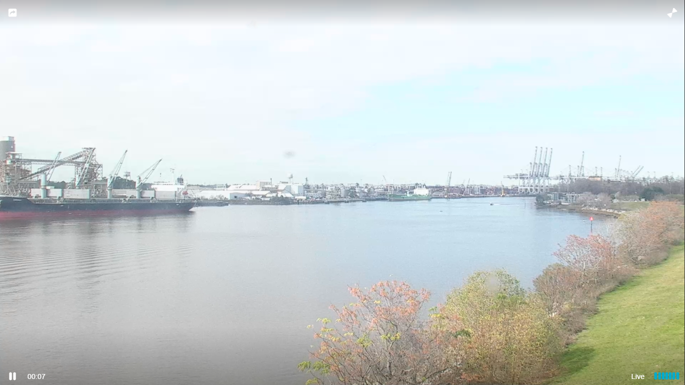 Live Webcam The Landings Marinas – Savannah, Georgia