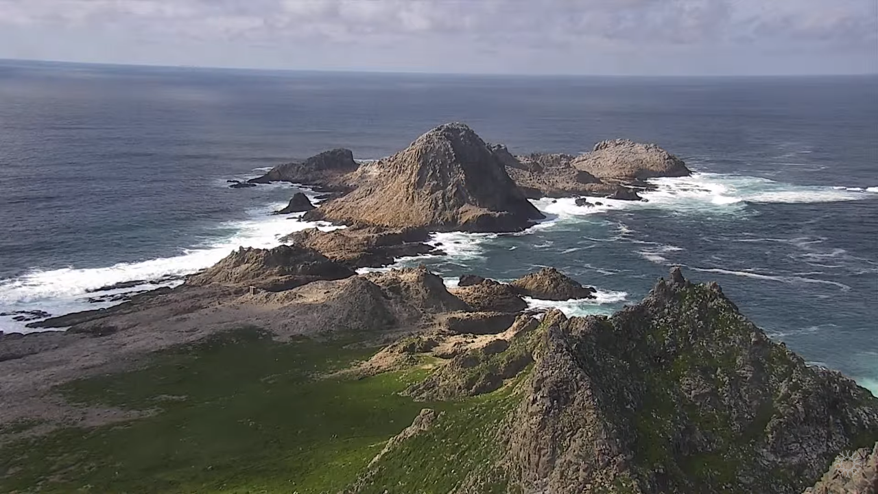 Farallon Islands Live Webcam – California, USA