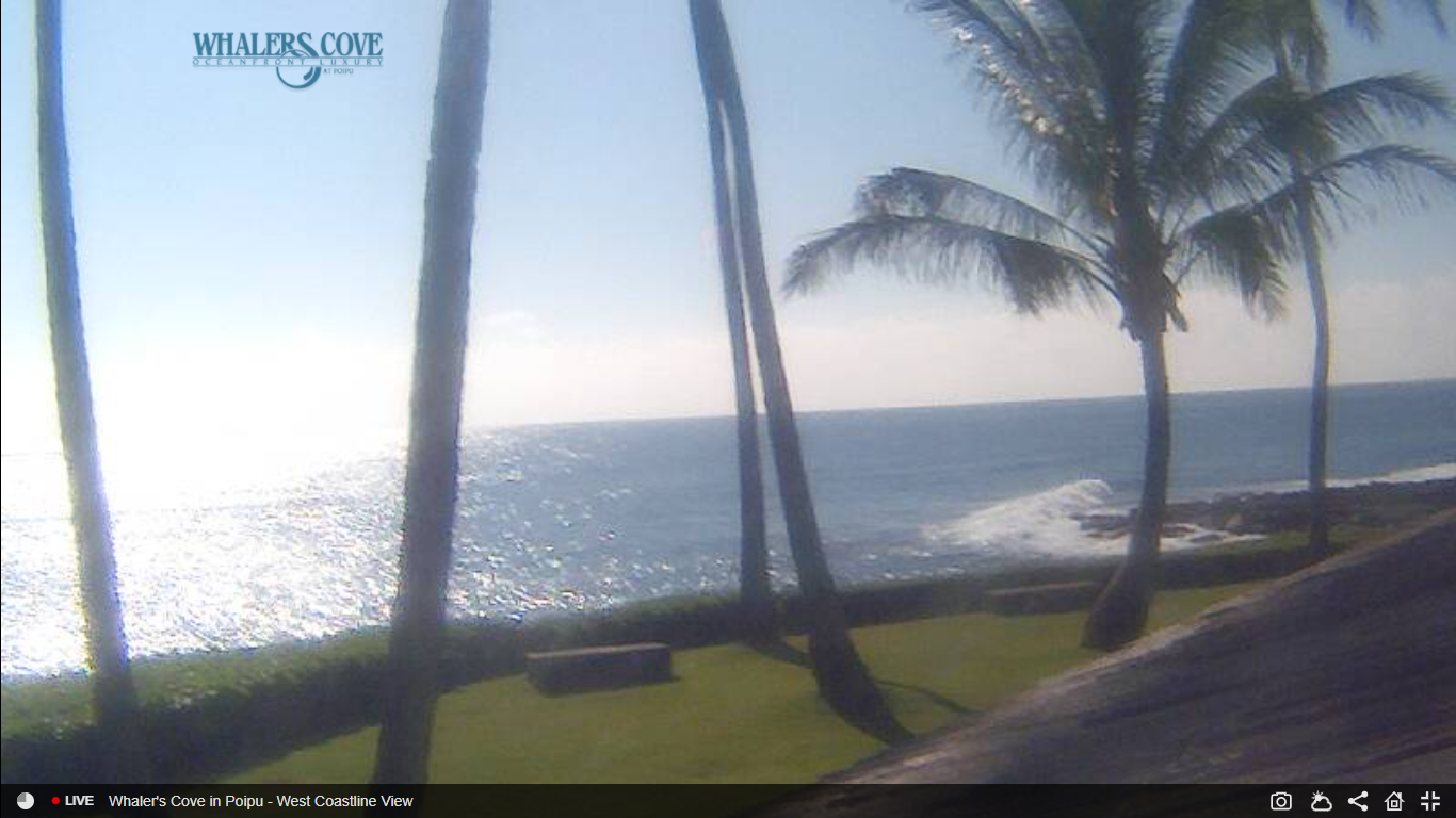 Whalers Cove Live Webcam – Kauai, Hawaii