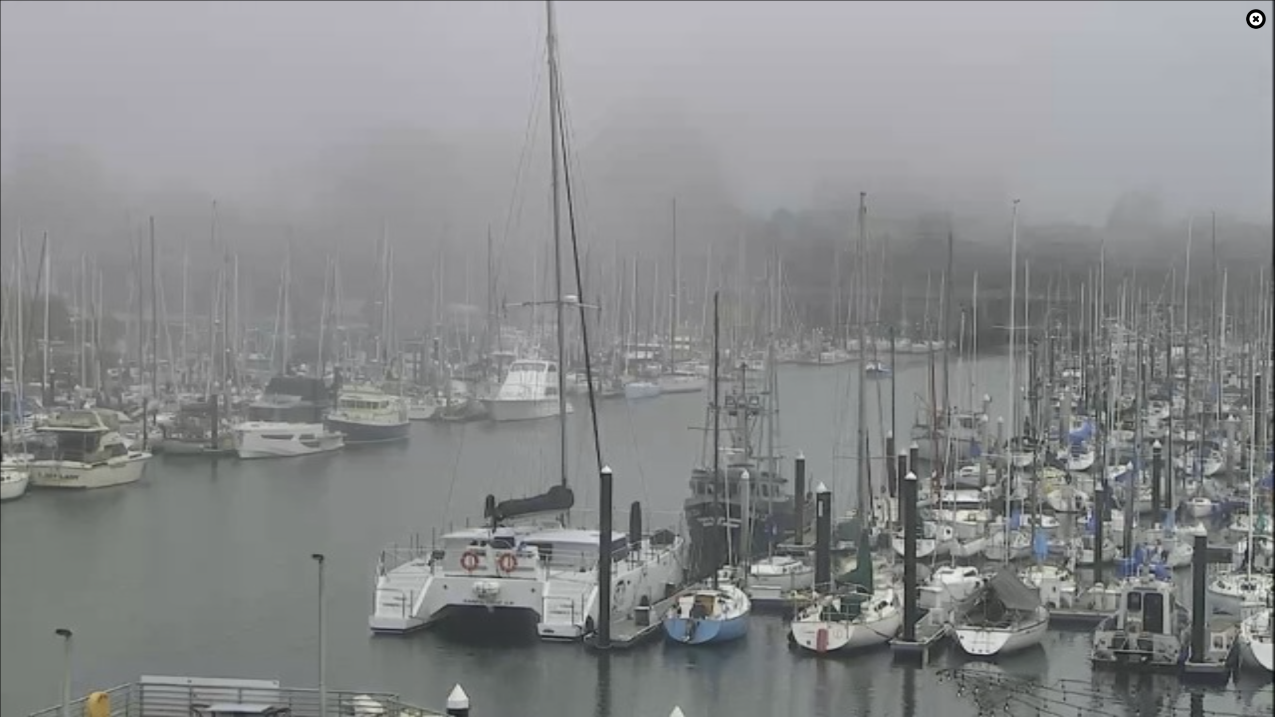 Santa Cruz Harbor Live Webcam – California, USA