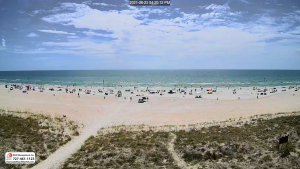 Beach Resort Condos Live Cam New In Florida, Usa