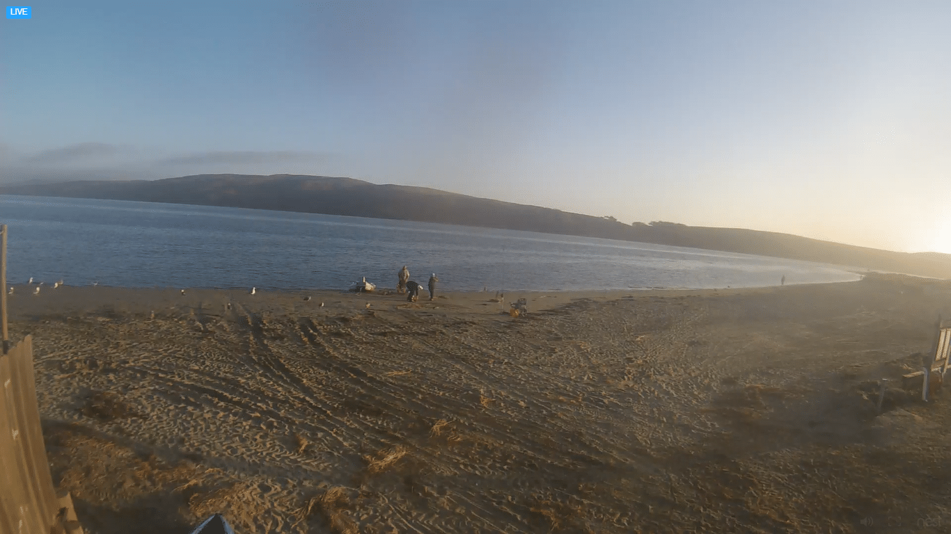 Dillon Beach Live Webcam – Marin County, California