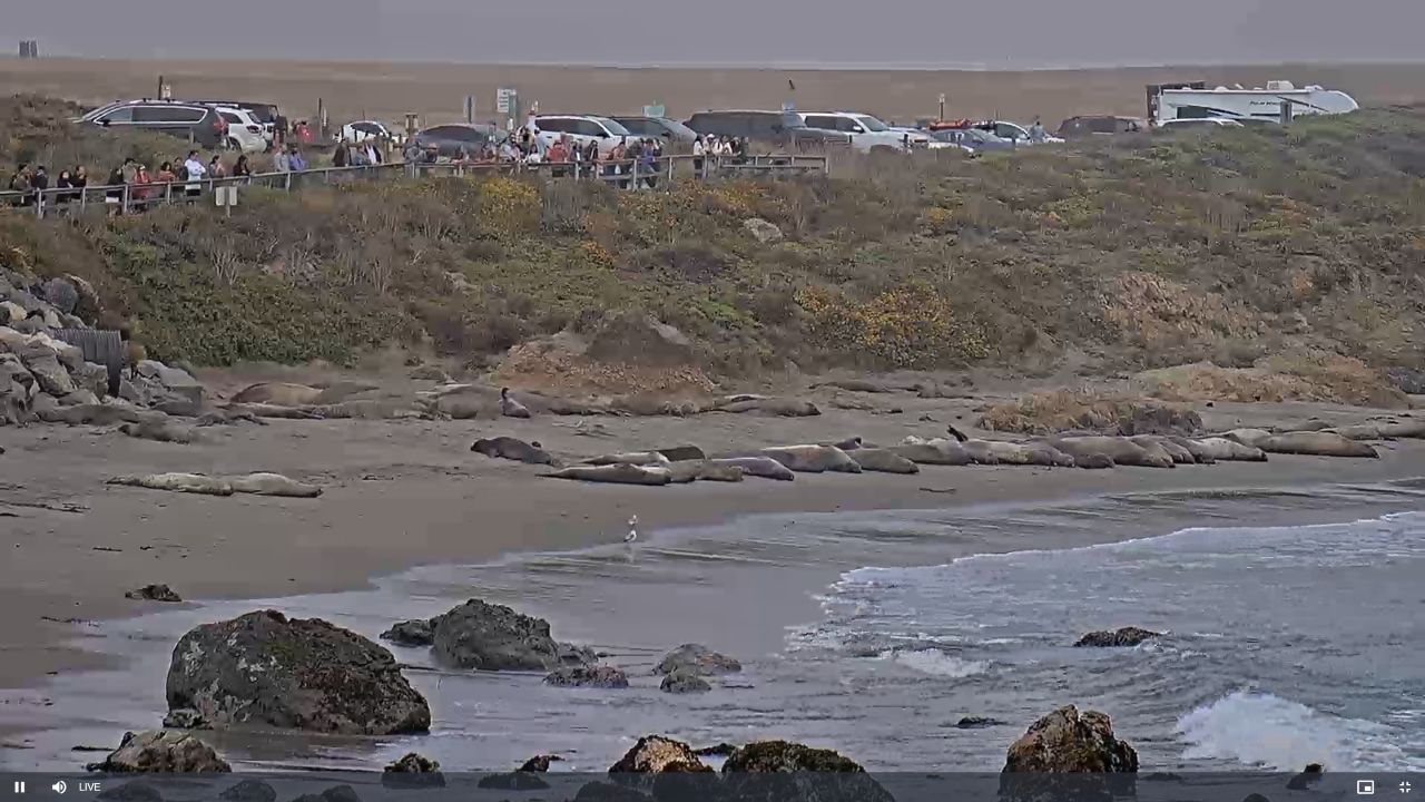 Seal Beach Live Webcam – Orange County, CA, USA