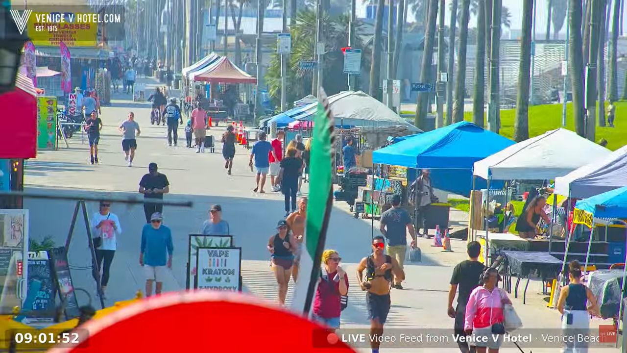Venice Beach Live Cam – California