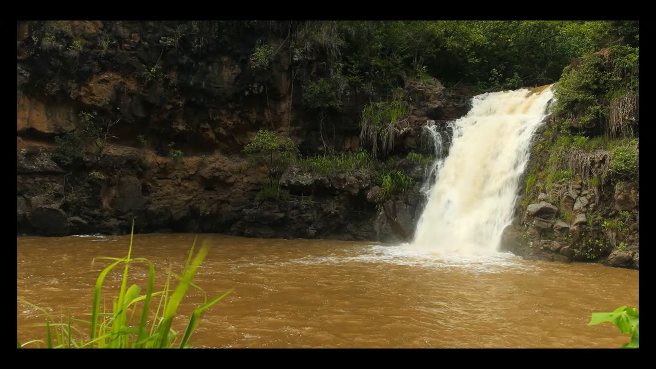 Waimea Falls Live Cam – Oahu Island, Hawaii