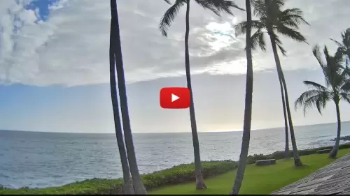 Whalers Cove Kauai Webcam New In Hawaii