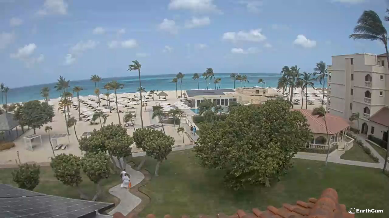 Bucuti Beach Live Cam – Aruba | Video