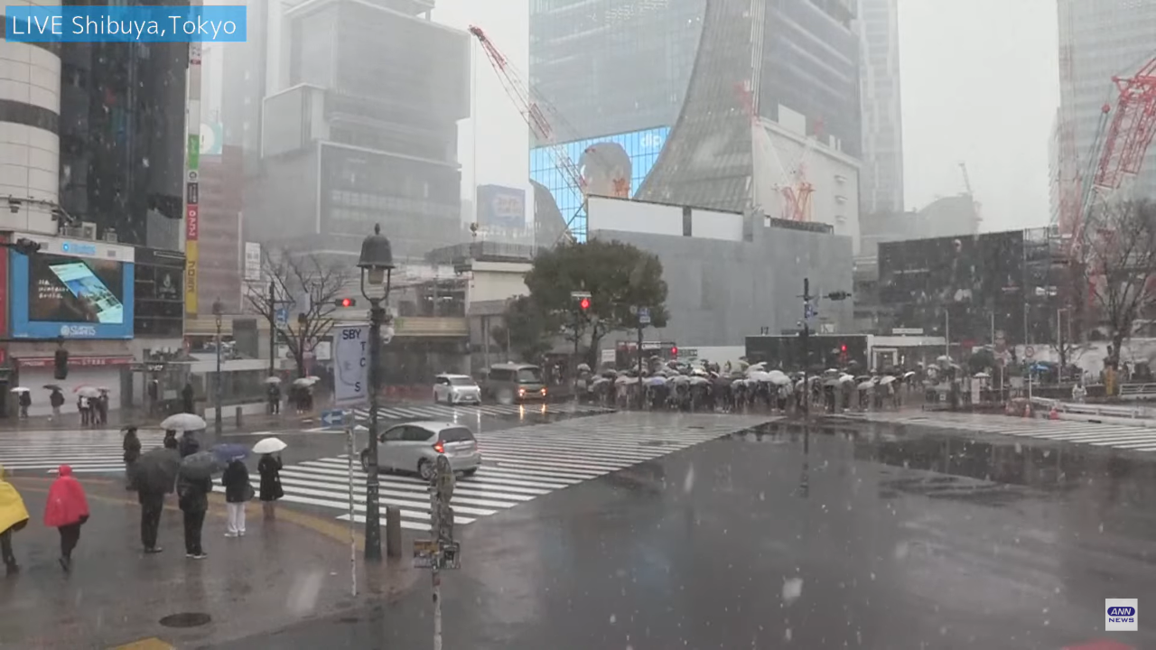 Live Cam Shibuya Scramble Tokyo, Japan | HD Video