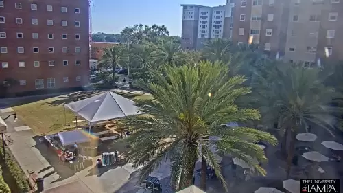 Tampa Florida Downtown Live Cam – HD Video