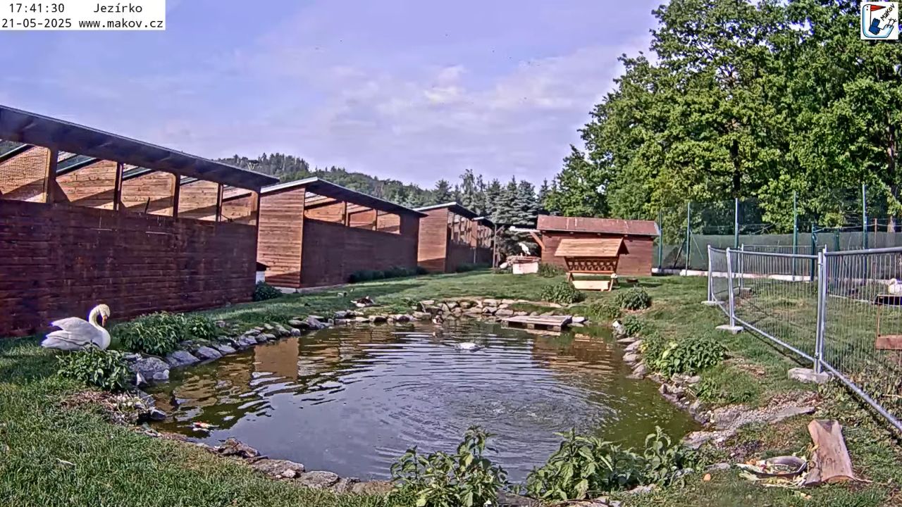 Live Webcam Animal Rescue Station Makov – Jezírko