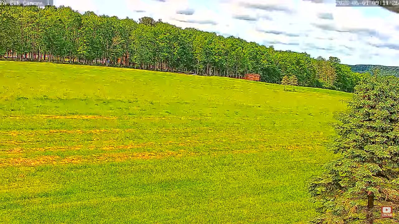 Live Webcam Benezette, Pennsylvania