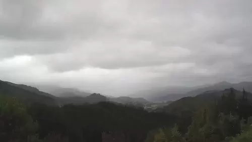 New Zealand Koromiko Area Live HD Webcam