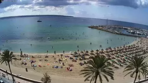 Webcam Mallorca | Multiple HD Cameras | Live HD Video