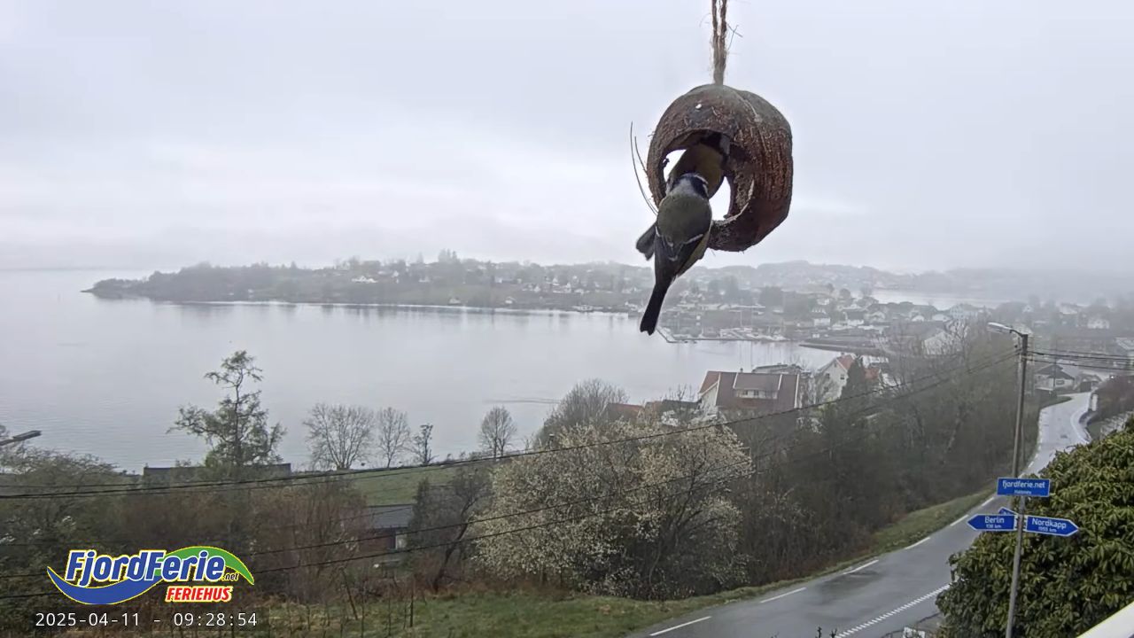 Sæbøvik, Norway Fjordferie Holiday Homes Live Cam Video