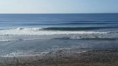Playa de las Canteras Live Webcam La Barra, Gran Canaria