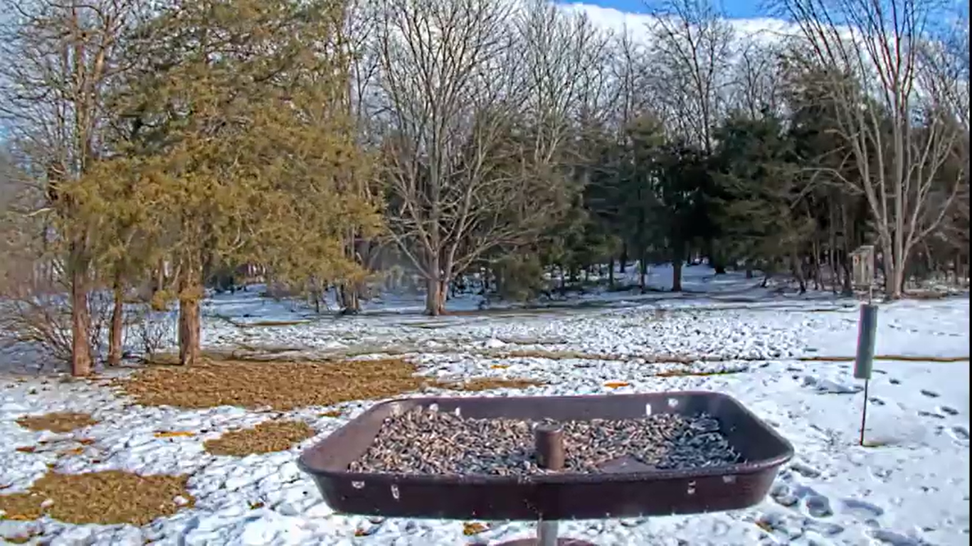 Live Webcam Bird Feed – Gettysburg Pennsylvania