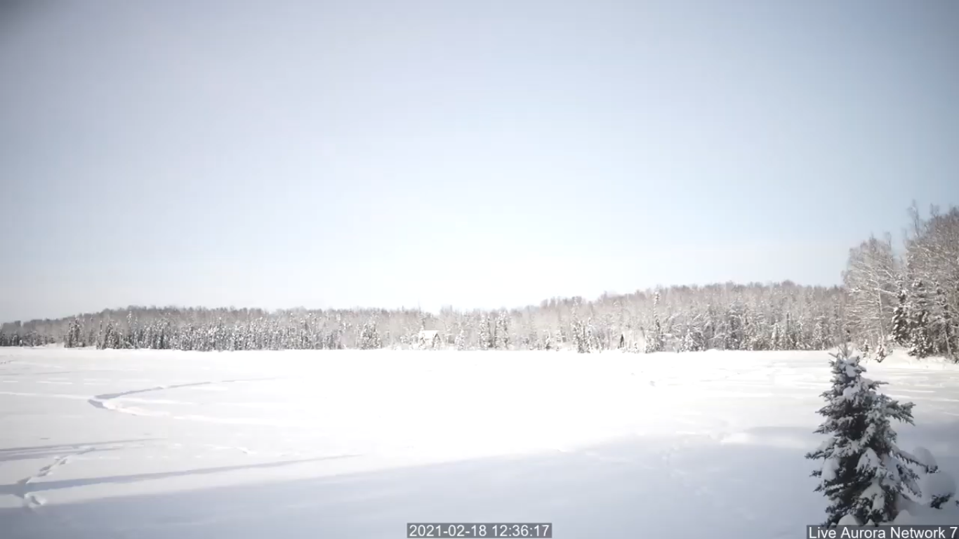 Willow Alaska Live Webcam