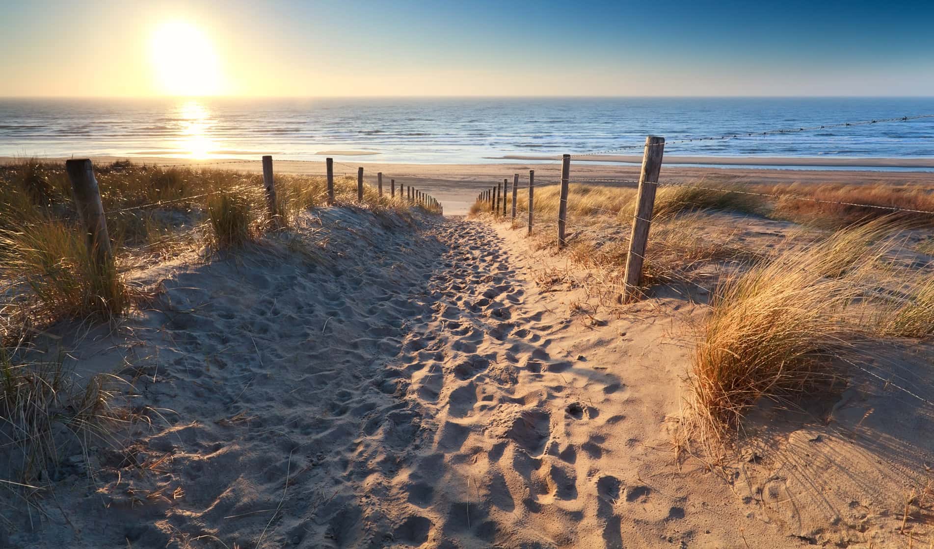 Renesse Aan Zee Beach Live Webcam – Zeeland, Netherlands