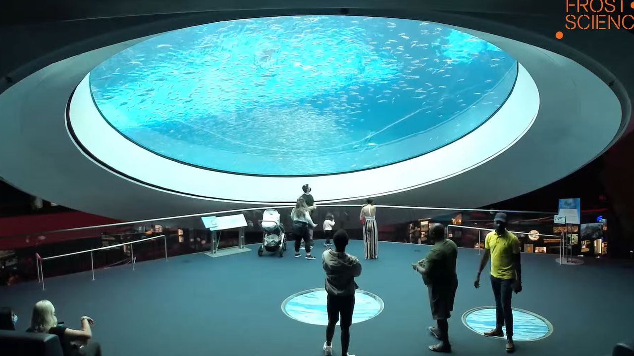 Gulf Stream Aquarium Live Webcam – Miami, Florida