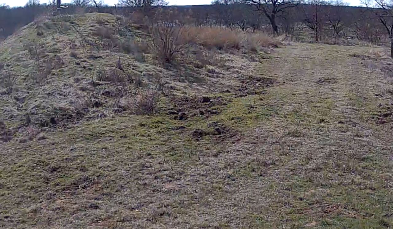 Live Deer Hunting Webcam – Jack County, Texas