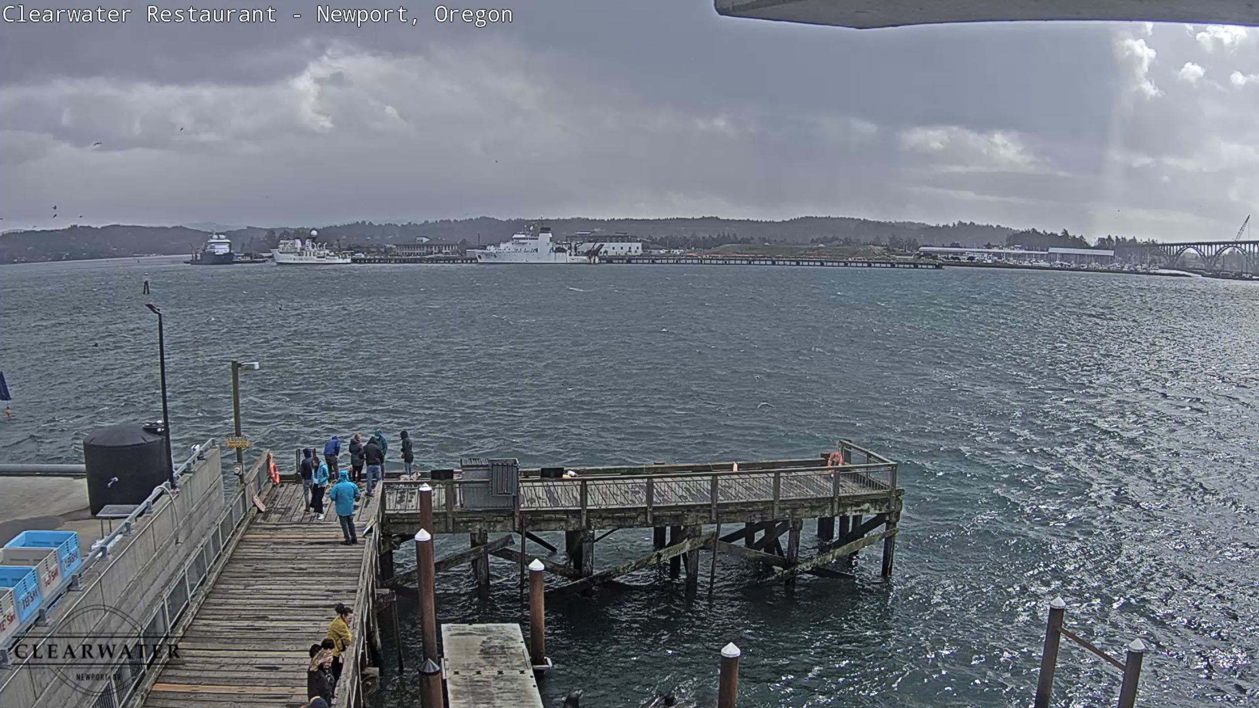 Newport, Oregon Live Webcam Clearwater Restaurant Marina
