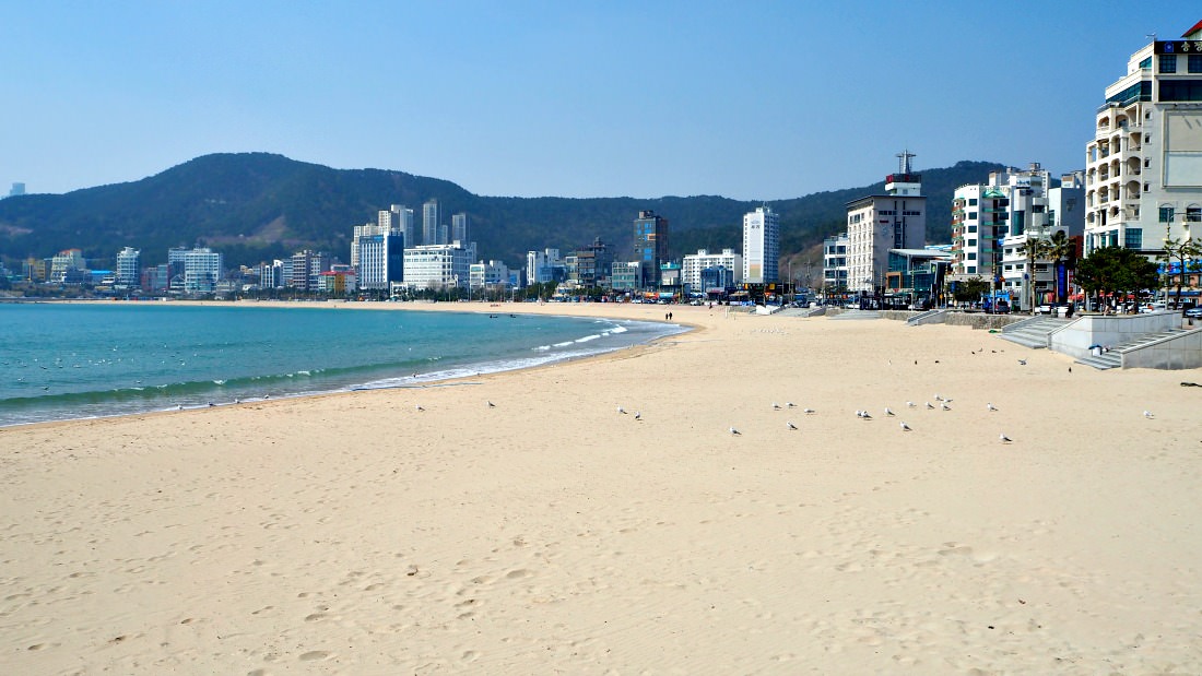 Live Webcam Songjeong Beach, Busan, South Korea Video
