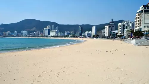 Live Webcam Songjeong Beach, Busan, South Korea Video