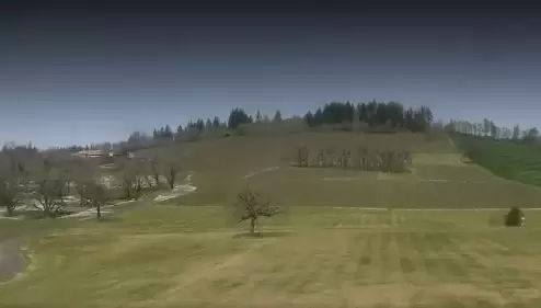 Dayton, Oregon Live Webcam – Stoller Family Estate – Video