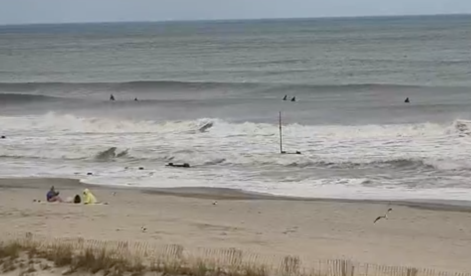 Ocean City, New Jersey Live Webcam Jersey Shore