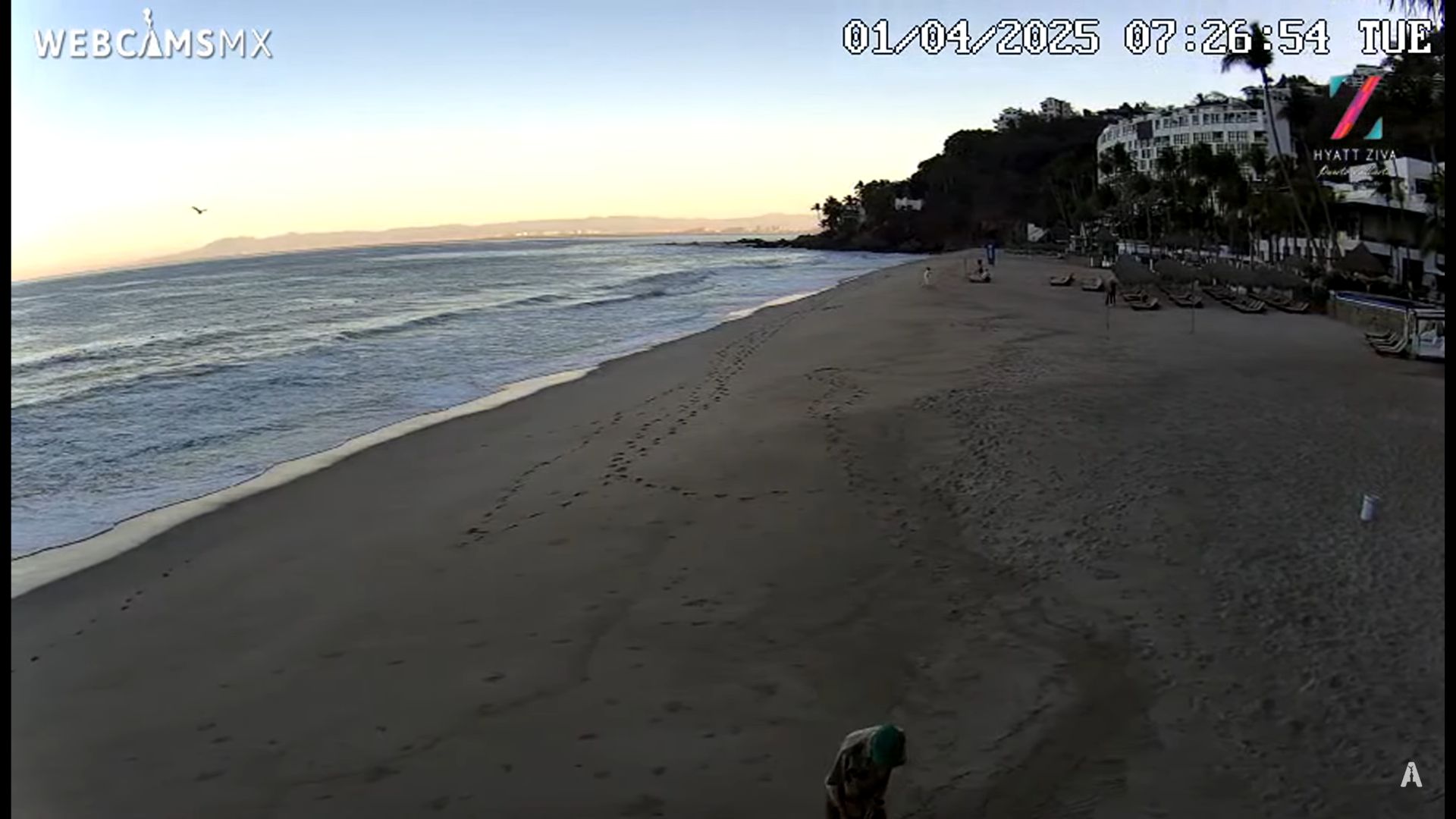 Hyatt Ziva Puerto Vallarta Live Webcam – Jalisco, Mexico