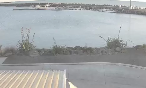 Plymouth Sport Fishing Underwater Club Live Webcam