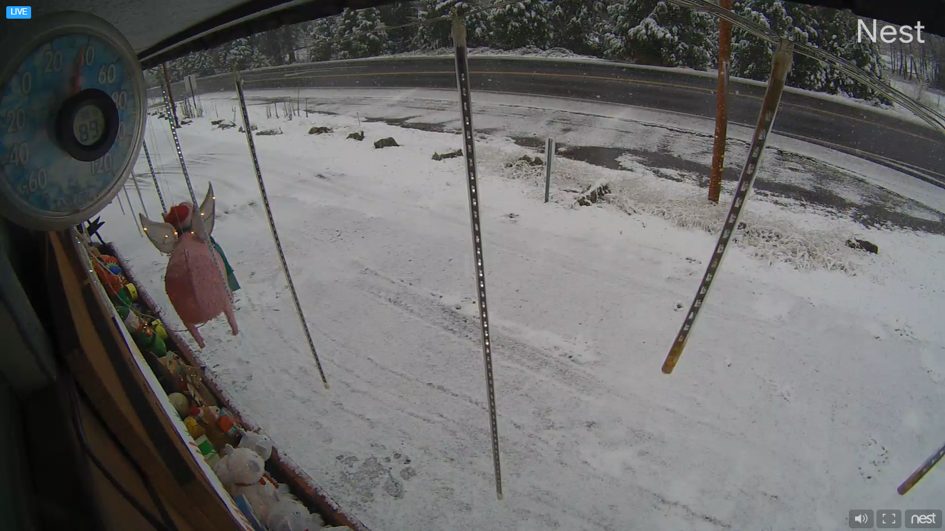 Live Webcam Arnold, CA, USA
