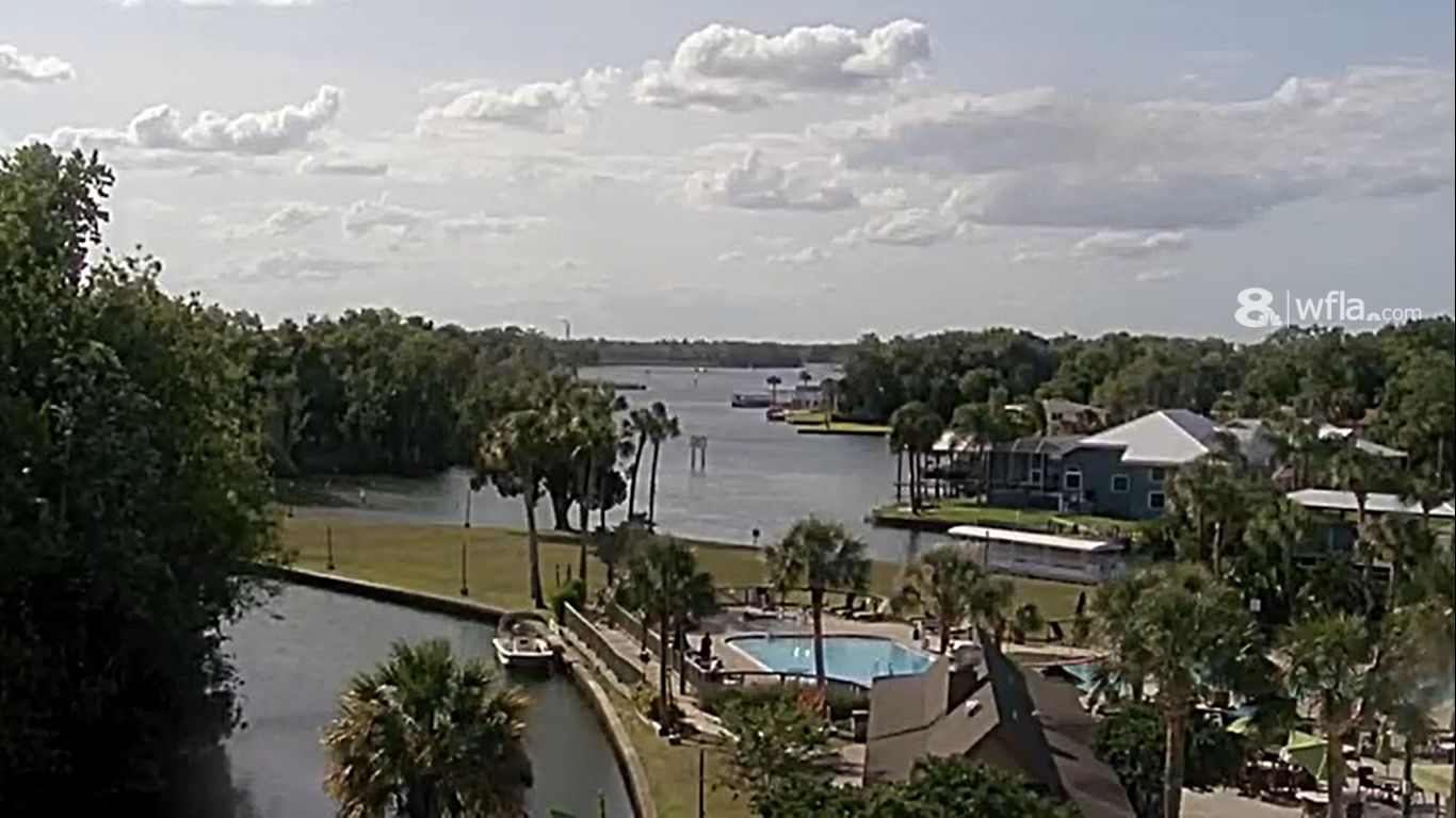 Crystal River Live Webcam – Florida, USA