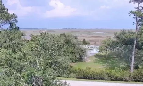 North Inlet-Winyah Bay Live Webcam – Research Reserve