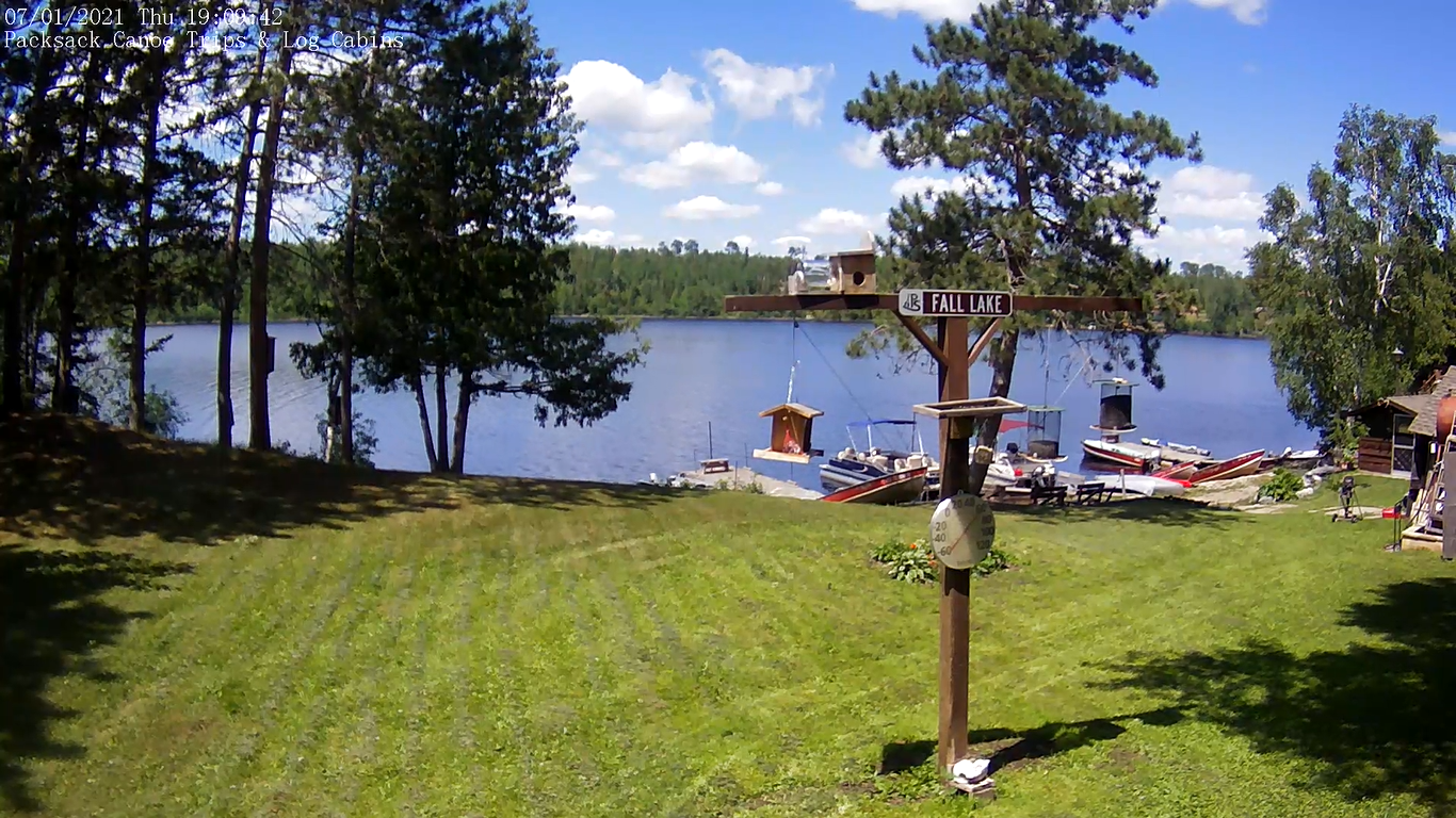 Superior National Forest Live Webcam – Ely, Minnesota