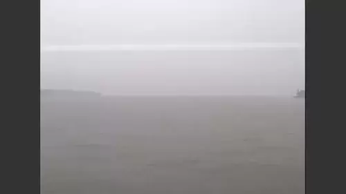 Savannah Pilots Dock Live Webcam – Savannah, Georgia