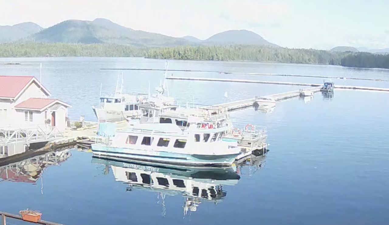 Live Webcam Shearwater, Denny Island – British Columbia
