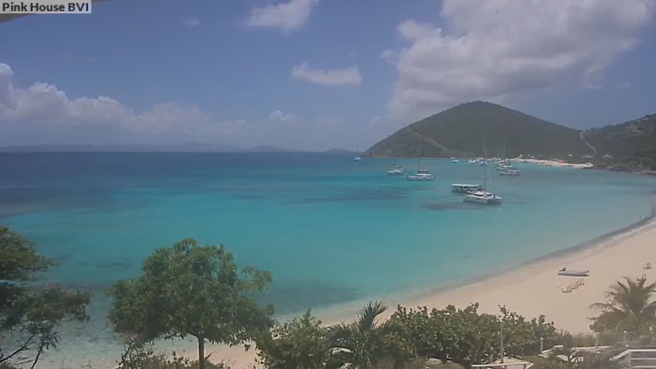 Live Webcam White Bay Beach – BVI