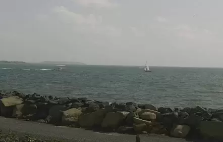 Celba, Puerto Rico Live Webcam – Puerto Del Rey Marina