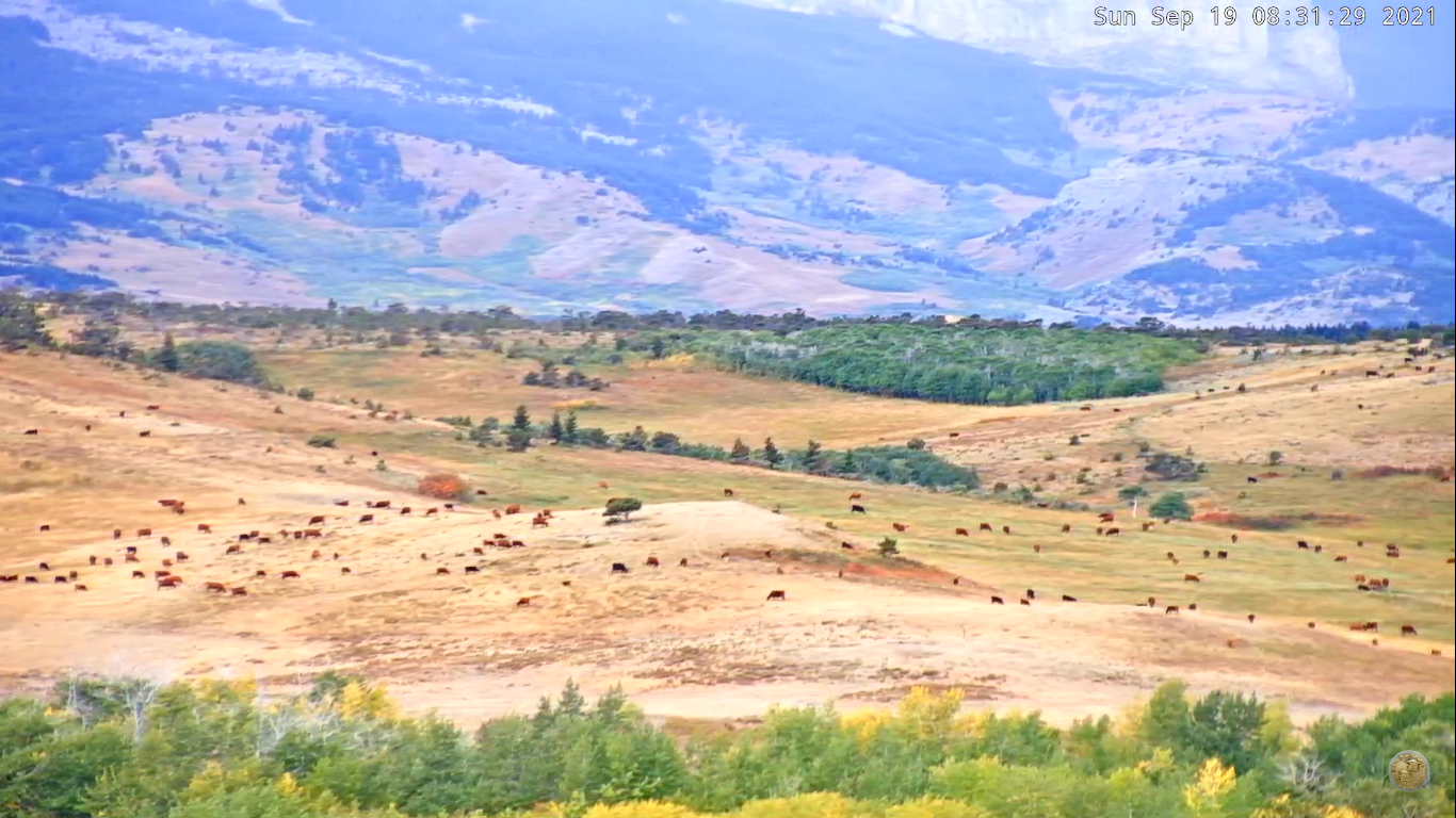 Rocky Mountain Front Live Webcam – Dupuyer, Montana