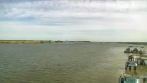 Elba Island Live Webcam - Savannah, Georgia