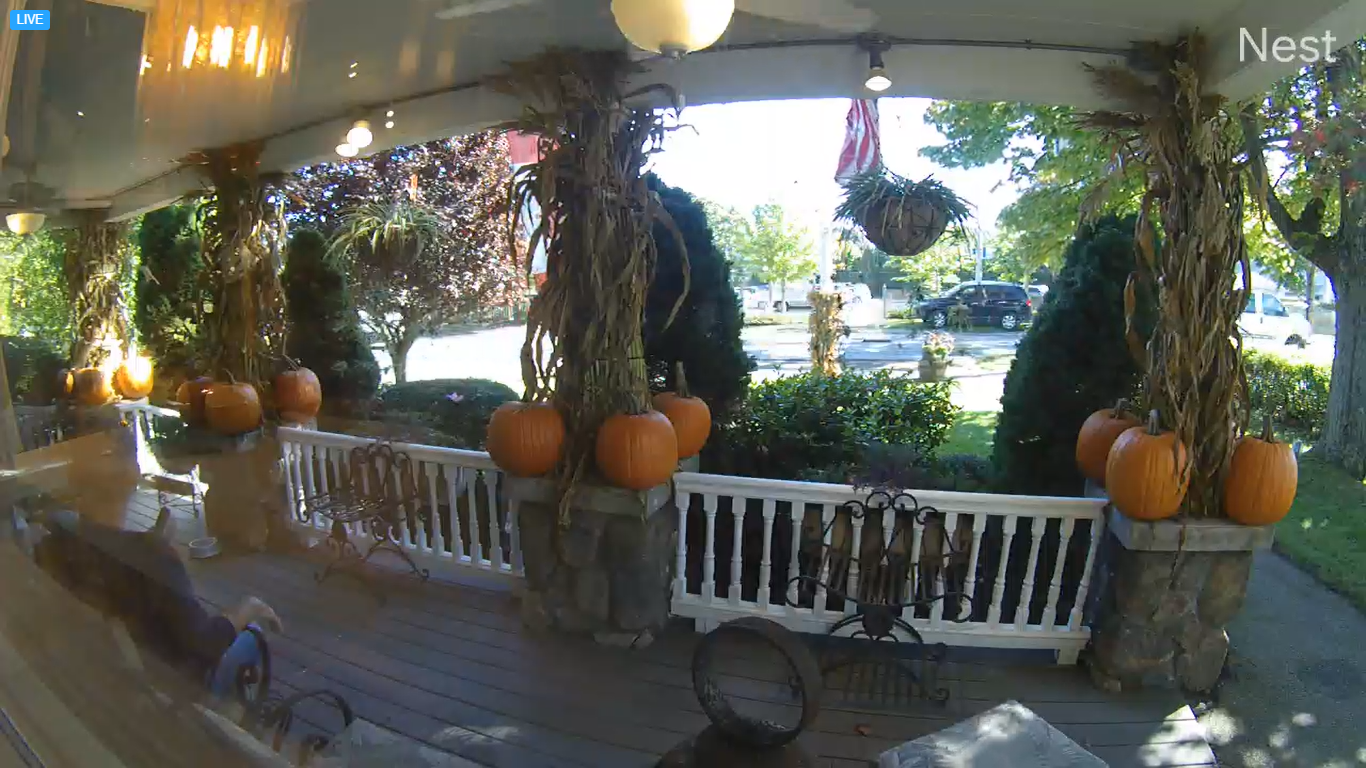 Spoiled Rotten Live Webcam – Ogunquit, Maine, USA